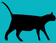 back of the card displaying a black cat drawing, card number 1